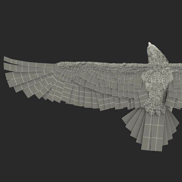 3D Imperial Eagle Pose 6