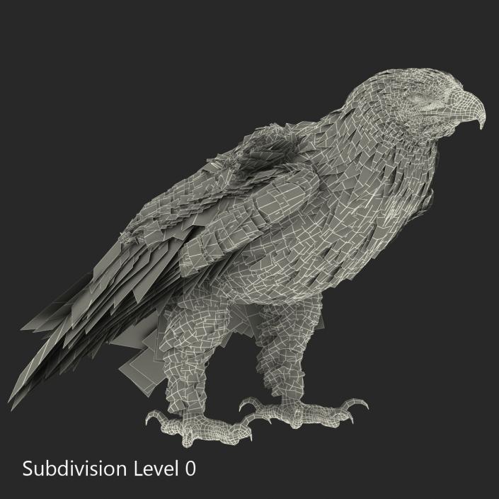 3D Imperial Eagle Pose 5