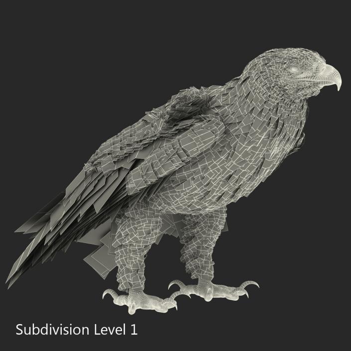 3D Imperial Eagle Pose 5