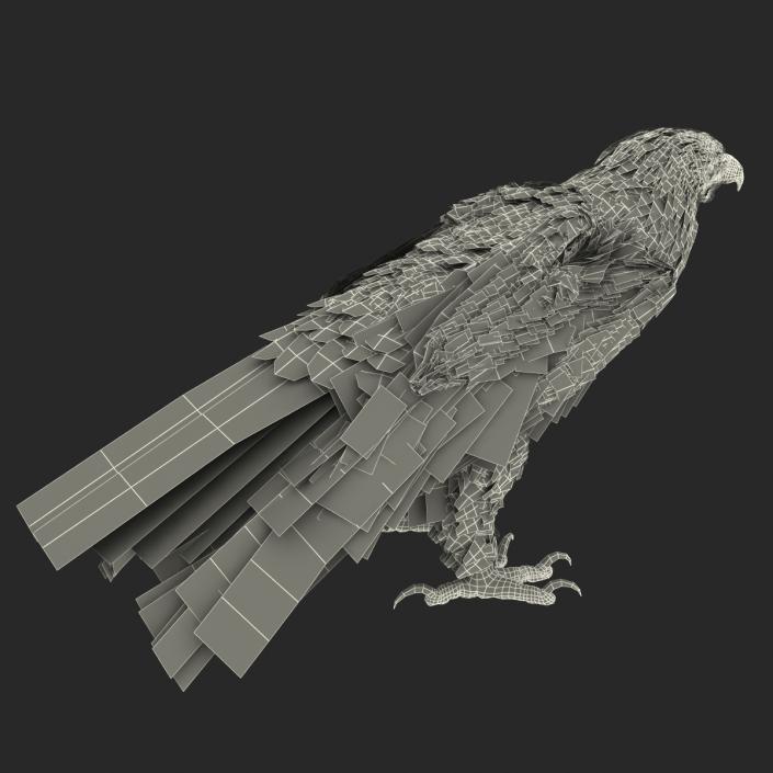 3D Imperial Eagle Pose 5