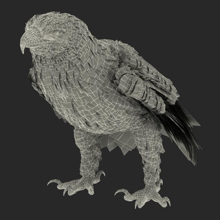 3D Imperial Eagle Pose 5