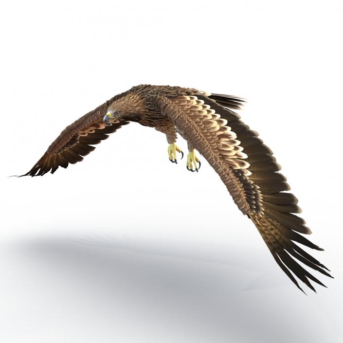 3D Imperial Eagle Pose 4