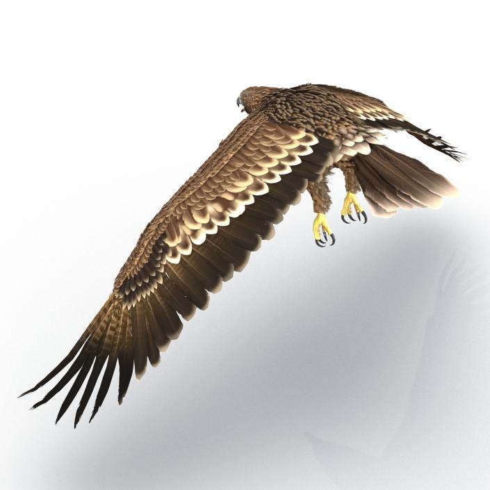 3D Imperial Eagle Pose 4