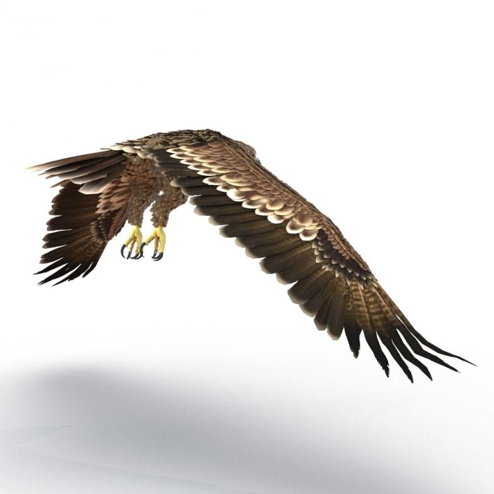 3D Imperial Eagle Pose 4