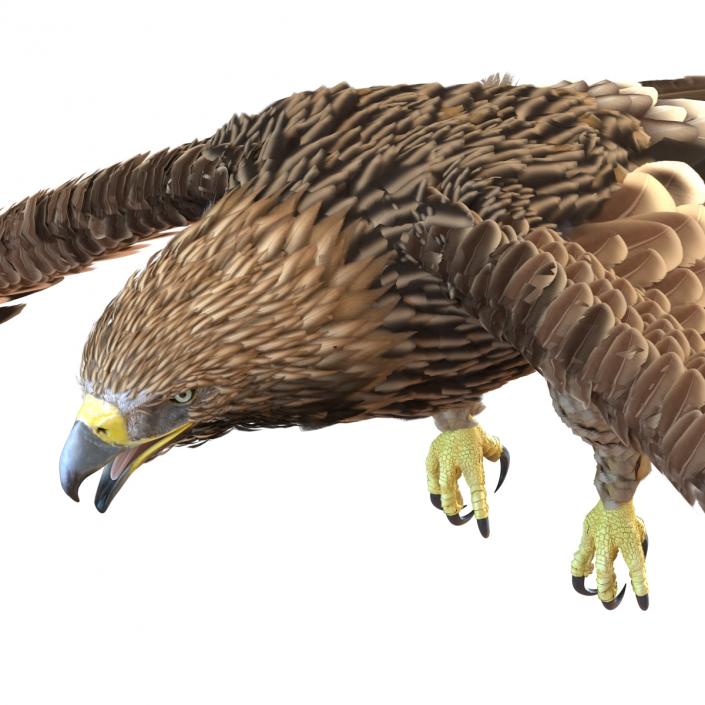 3D Imperial Eagle Pose 4