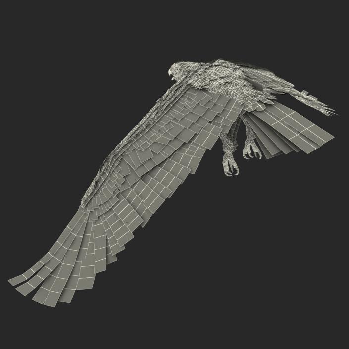 3D Imperial Eagle Pose 4