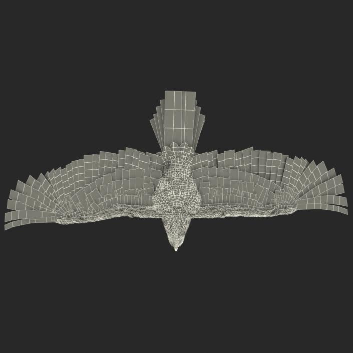 3D Imperial Eagle Pose 4