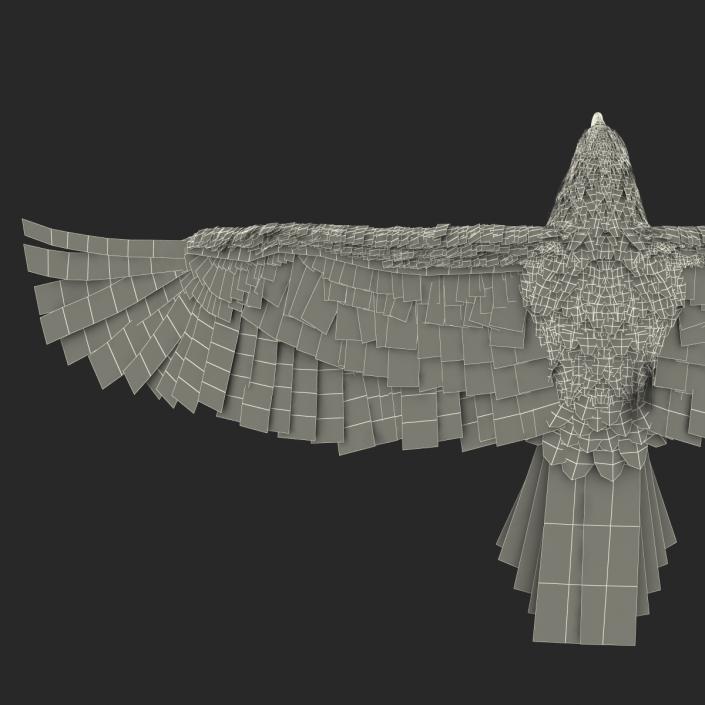 3D Imperial Eagle Pose 4