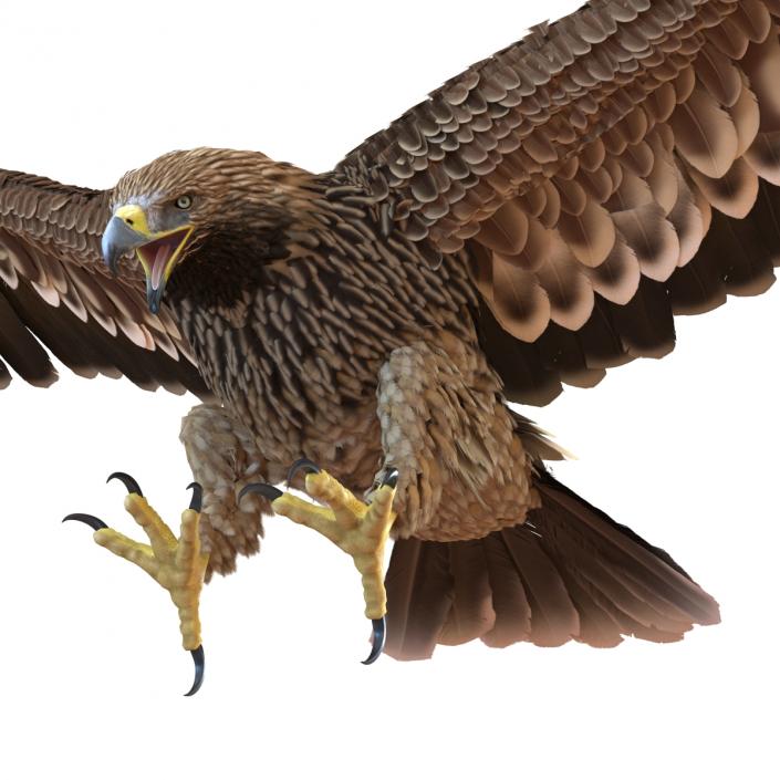 3D Imperial Eagle Pose 3