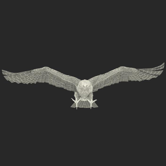 3D Imperial Eagle Pose 3