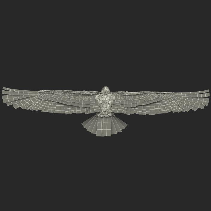 Imperial Eagle 3D model