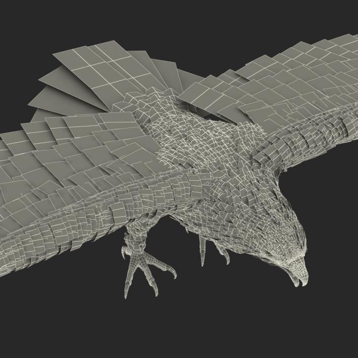 Imperial Eagle 3D model