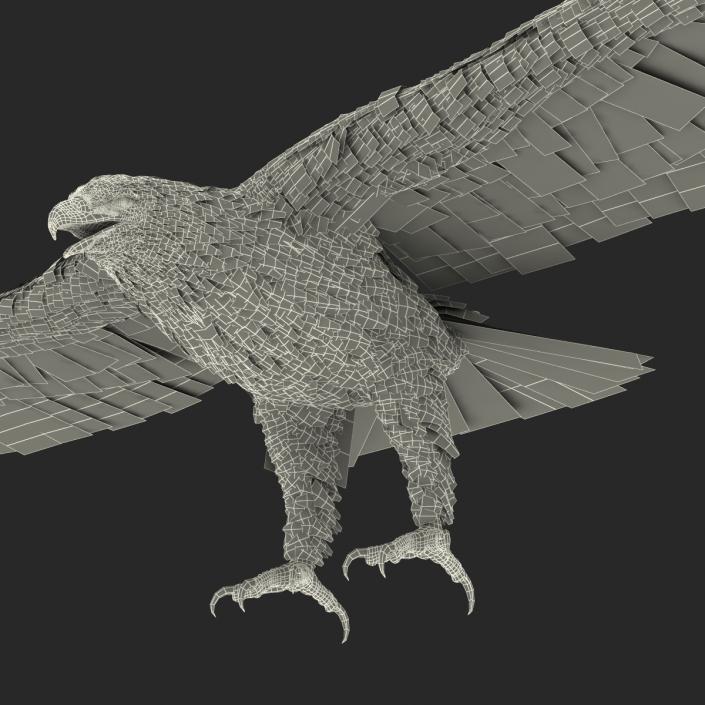 Imperial Eagle 3D model