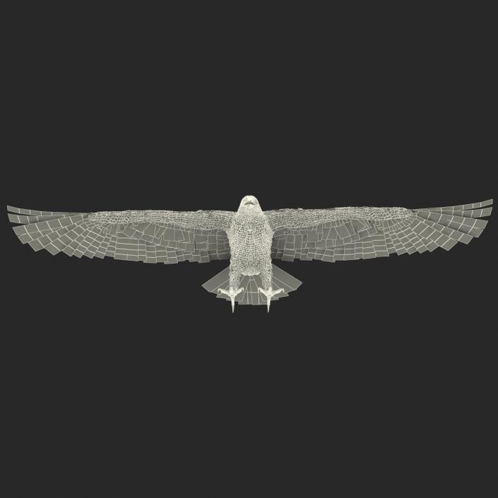 Imperial Eagle 3D model