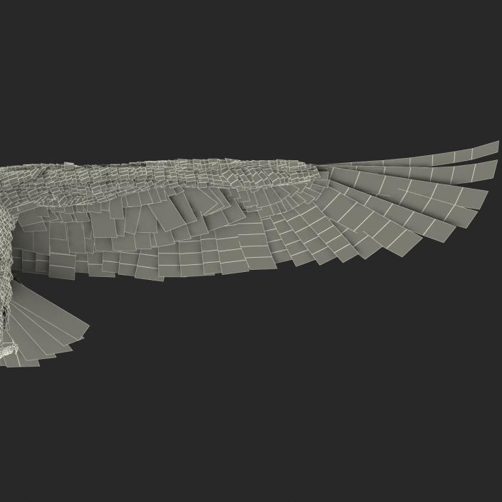 Imperial Eagle 3D model