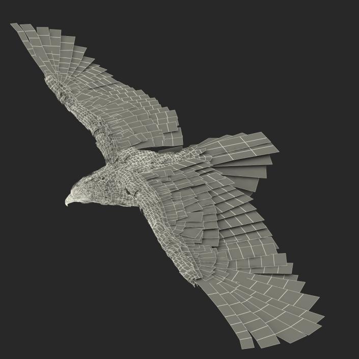 3D Imperial Eagle Pose 2