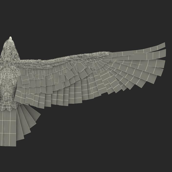 3D Imperial Eagle Pose 2