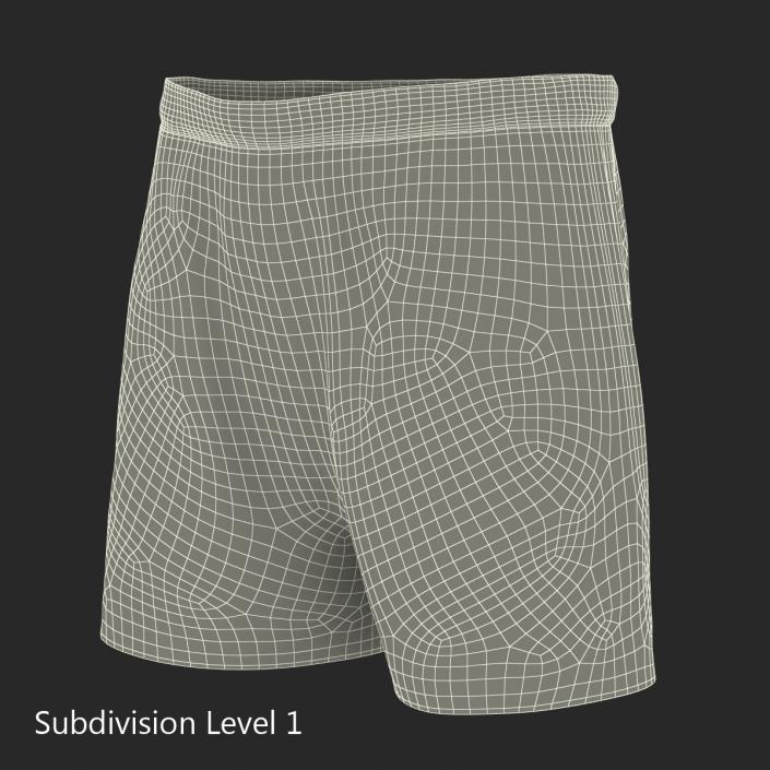 Soccer Shorts Green 3D model