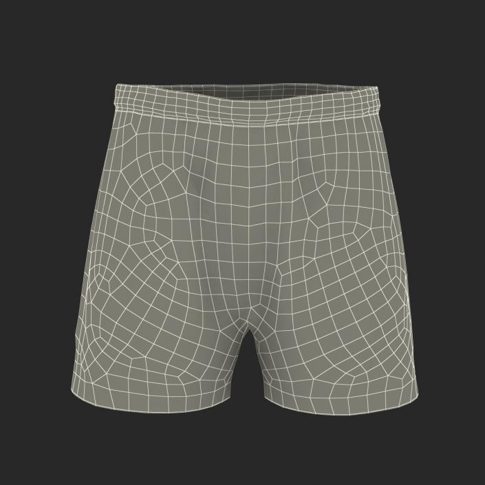 Soccer Shorts Green 3D model