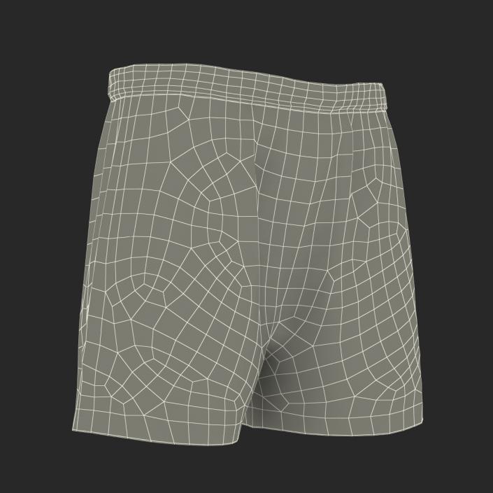 Soccer Shorts Green 3D model