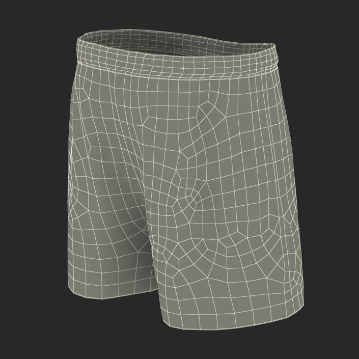 Soccer Shorts Green 3D model