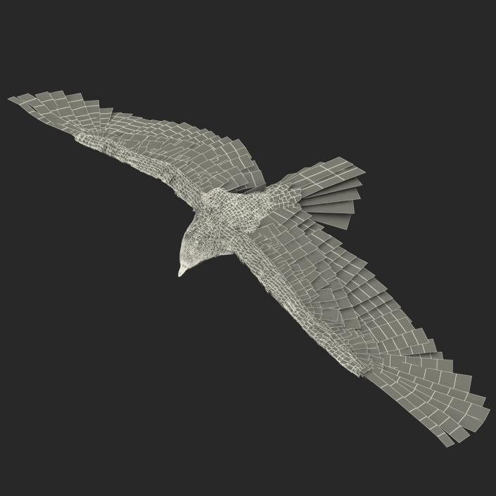 Gurney Eagle Pose 7 3D model