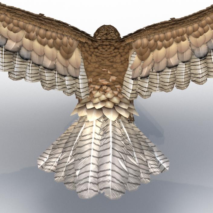 Gurney Eagle Pose 6 3D model