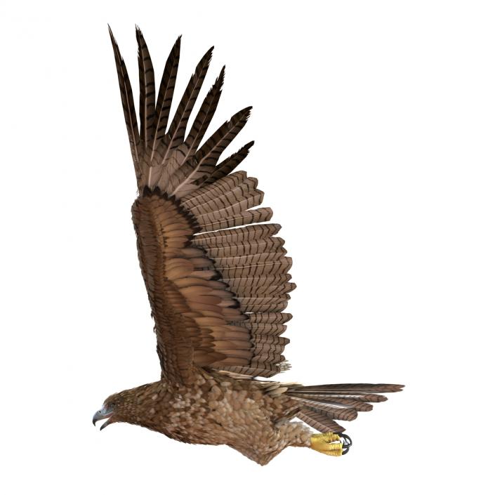 Gurney Eagle Pose 6 3D model