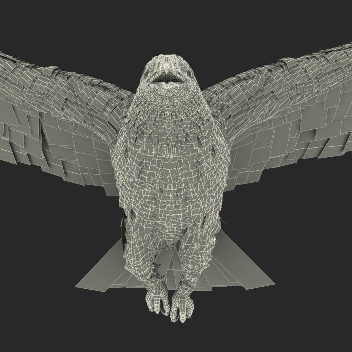 Gurney Eagle Pose 6 3D model