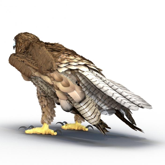 Gurney Eagle Pose 5 3D model