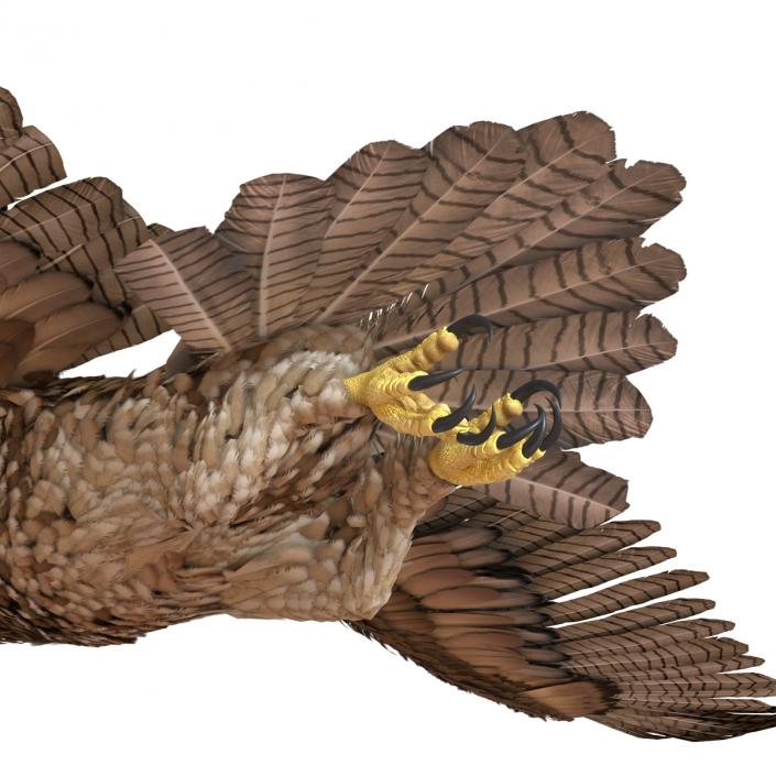 Gurney Eagle Pose 3 3D model