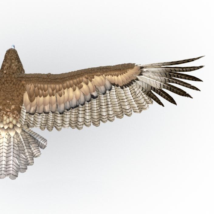 Gurney Eagle Pose 3 3D model