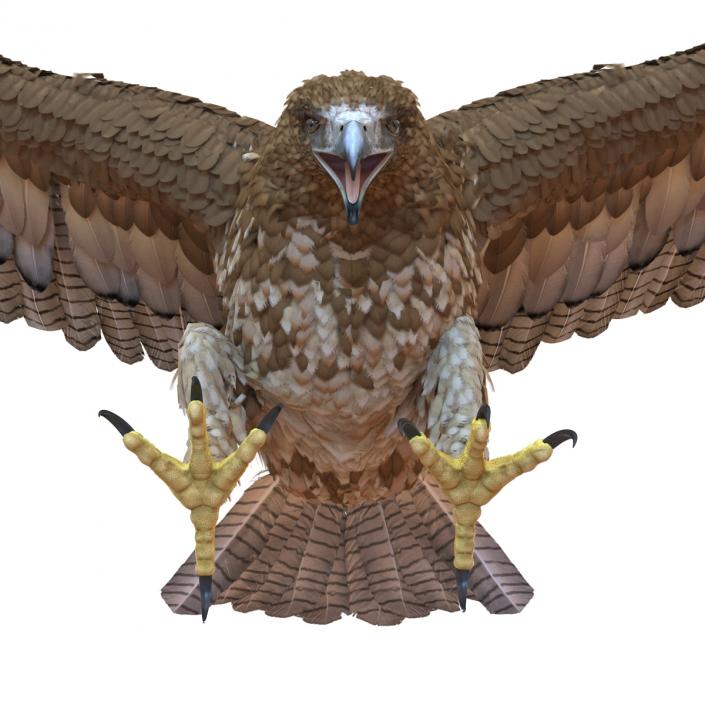 Gurney Eagle Pose 2 3D model