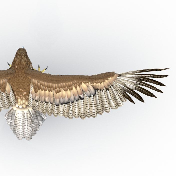 Gurney Eagle Pose 2 3D model