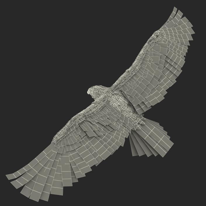 Gurney Eagle Pose 2 3D model