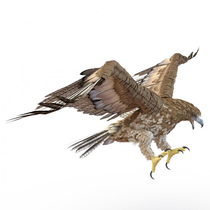 Gurney Eagle Pose 2 3D model