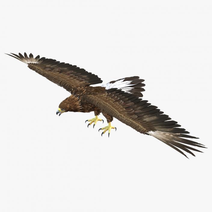 Golden Eagle 3D