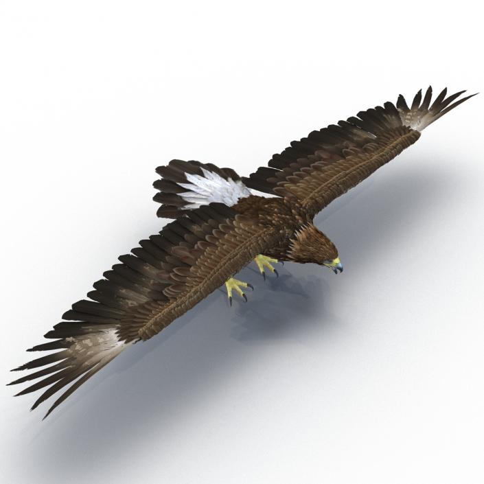 Golden Eagle 3D