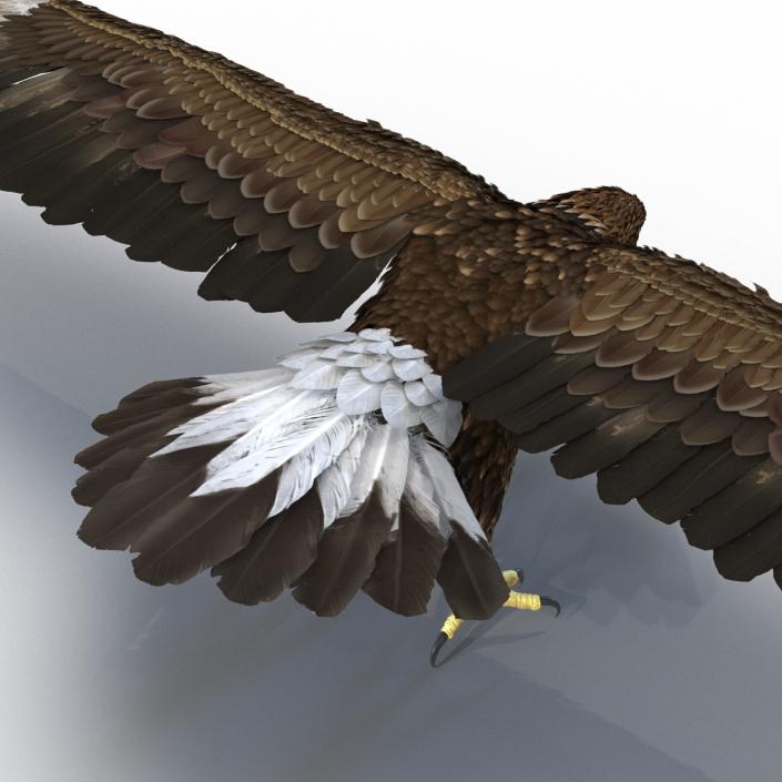 Golden Eagle 3D