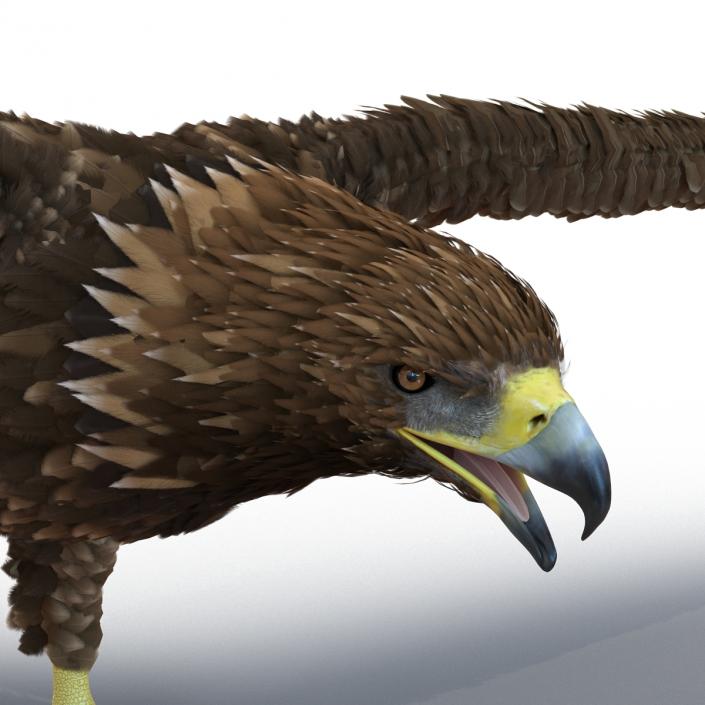 Golden Eagle 3D