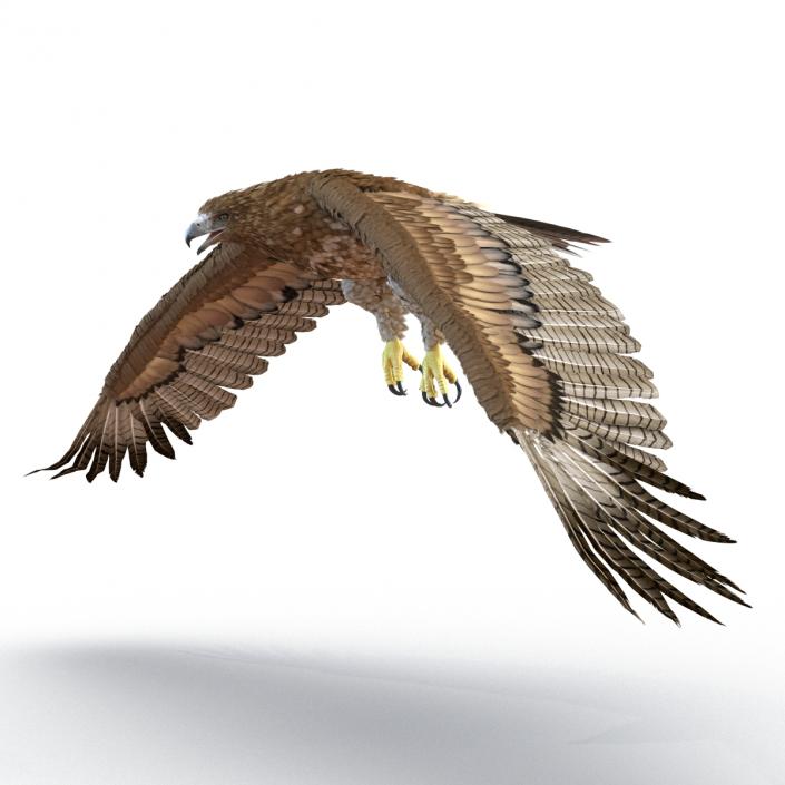 Gurney Eagle Pose 4 3D model