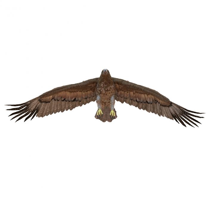 Gurney Eagle Pose 4 3D model