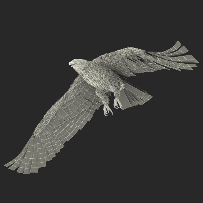 Gurney Eagle Pose 4 3D model