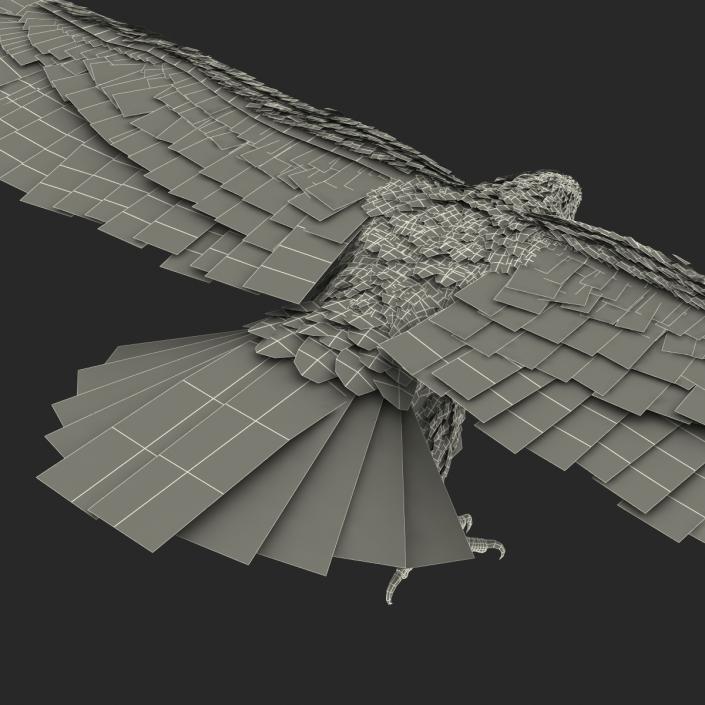 3D model Bald Eagle