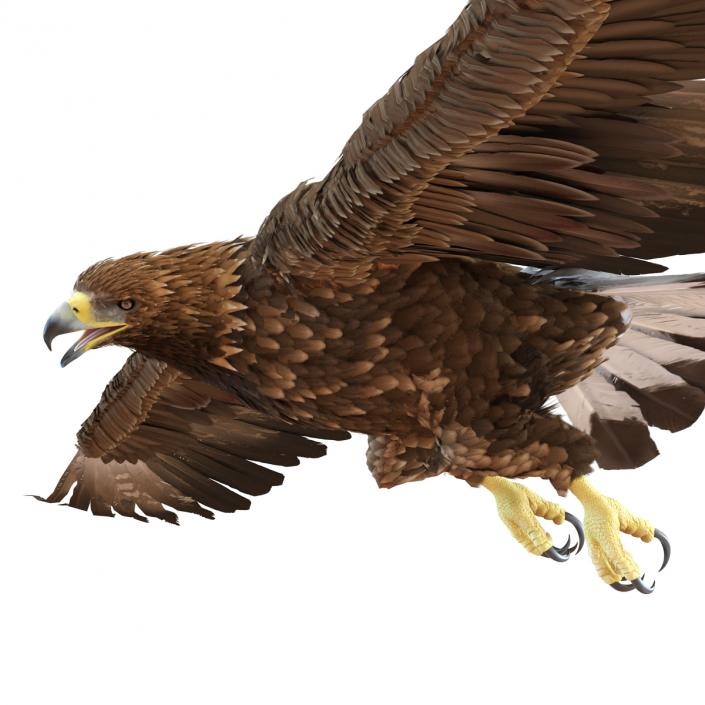 Golden Eagle Pose 7 3D model