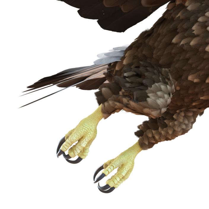 Golden Eagle Pose 7 3D model