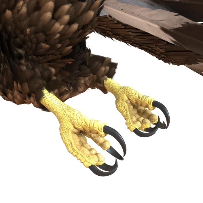 Golden Eagle Pose 7 3D model