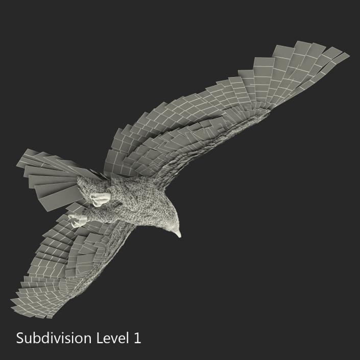 Golden Eagle Pose 7 3D model