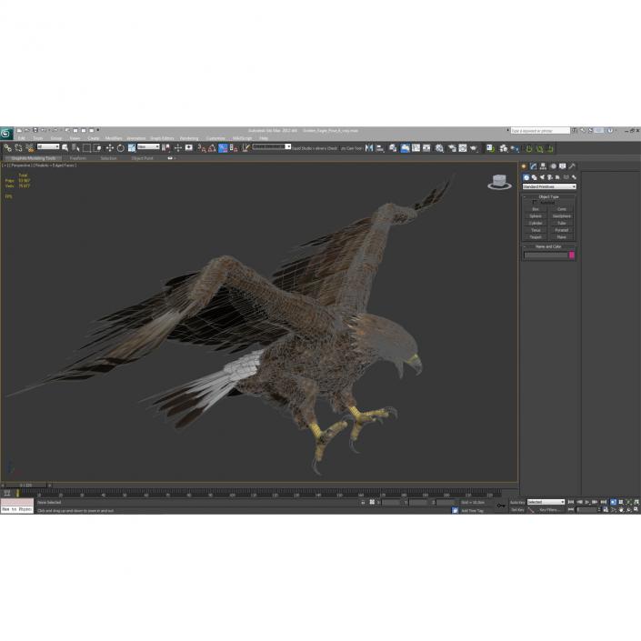 Golden Eagle Pose 6 3D model