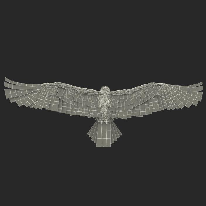 Golden Eagle Pose 6 3D model